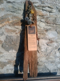 schindel1